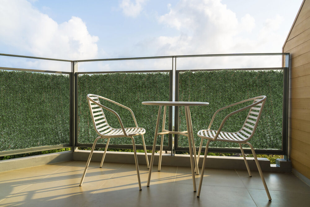 FAURA_SETO-TRICOLOR.jpg FAURA_SETO-TRICOLOR.jpg