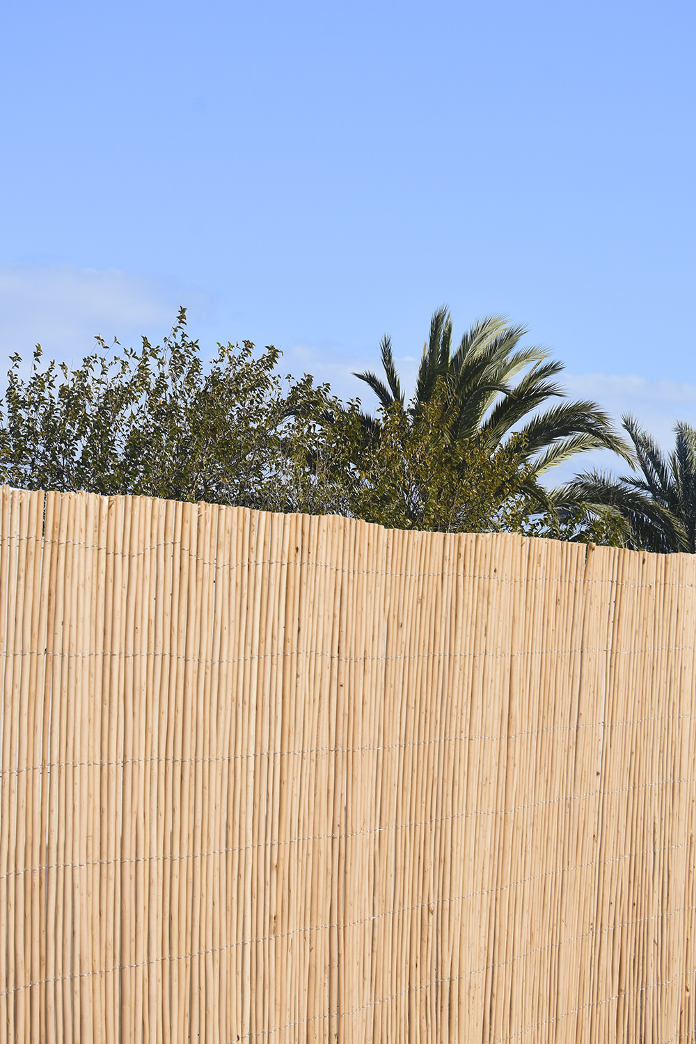 FAURA_mimbre-pelado.jpg FAURA_mimbre-pelado.jpg