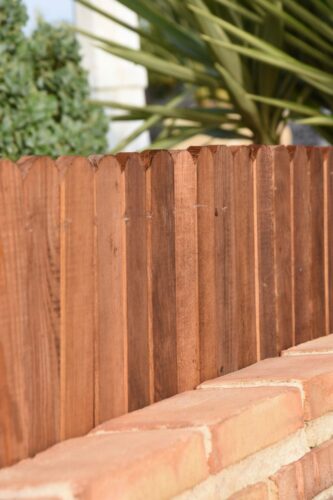 Mini Bordura Lisa Tintada