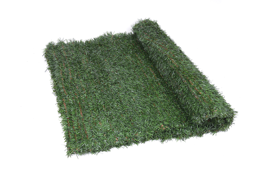 FAURA_seto-tricolor_c3.jpg FAURA_seto-tricolor_c3.jpg