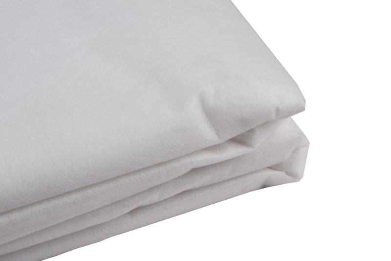 MANTO-PROTECCION-e1697802704432.png MANTO-PROTECCION-e1697802704432.png