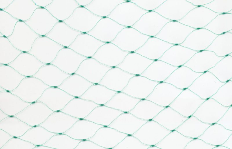 Malla-antipajaros-scaled-e1697802864466.jpg Malla-antipajaros-scaled-e1697802864466.jpg