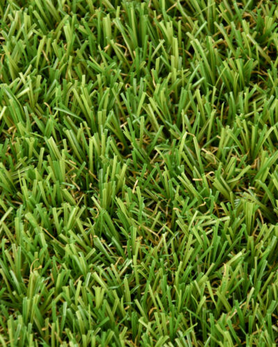 Oasis | Césped Artificial