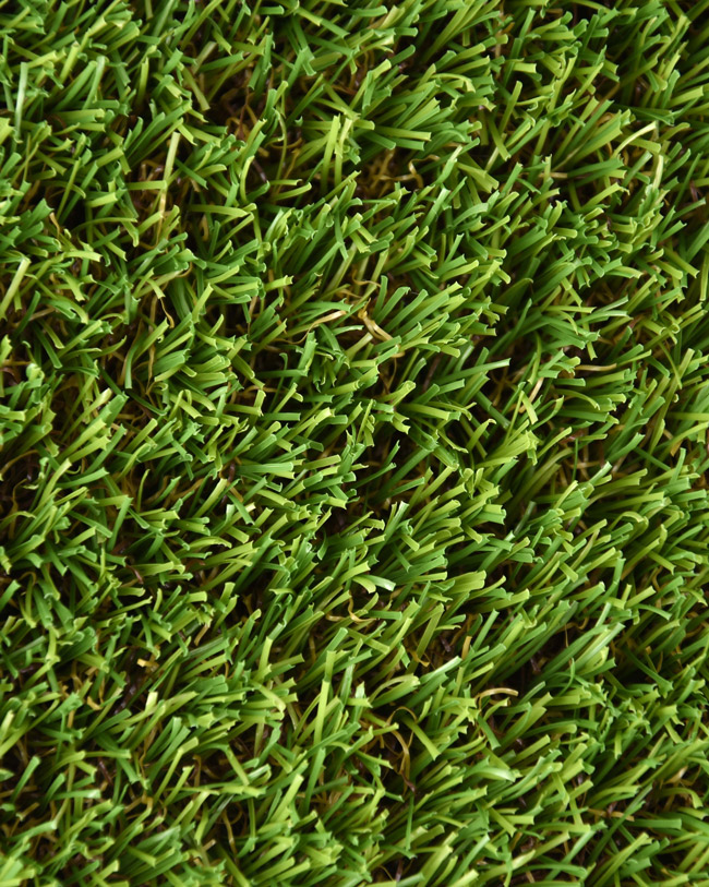 PARAISO-CEPED-ARTIFICIAL-CAÑIZO-FAURA-1 PARAISO-CEPED-ARTIFICIAL-CAÑIZO-FAURA-1