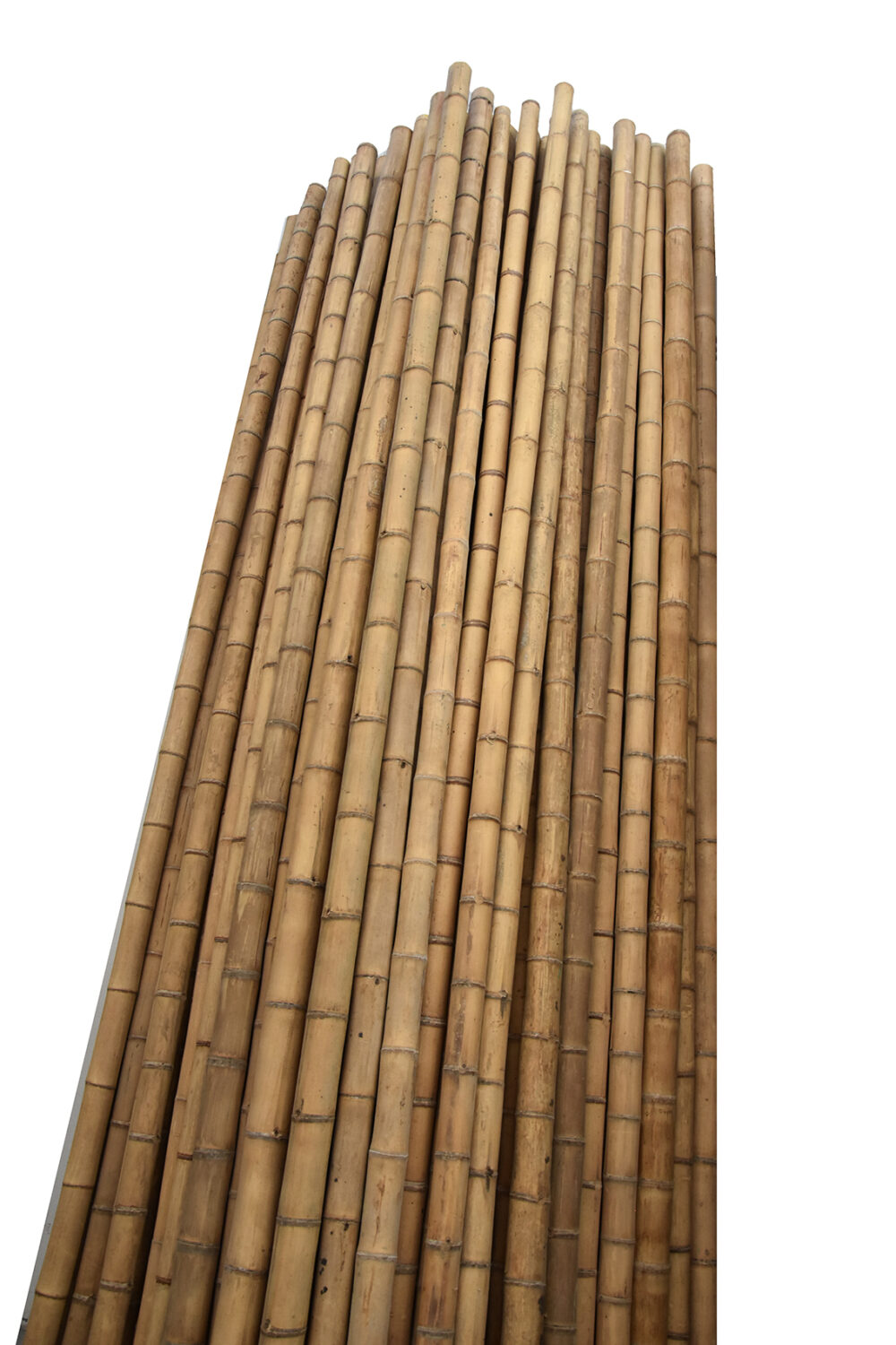 bambu-decorativo-1.jpg bambu-decorativo-1.jpg