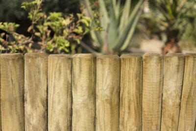 Bordura Vampiro Fija