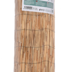 canizo-bambu-chino.png