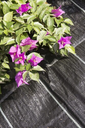 Malla Antihierbas 180 gr/m²