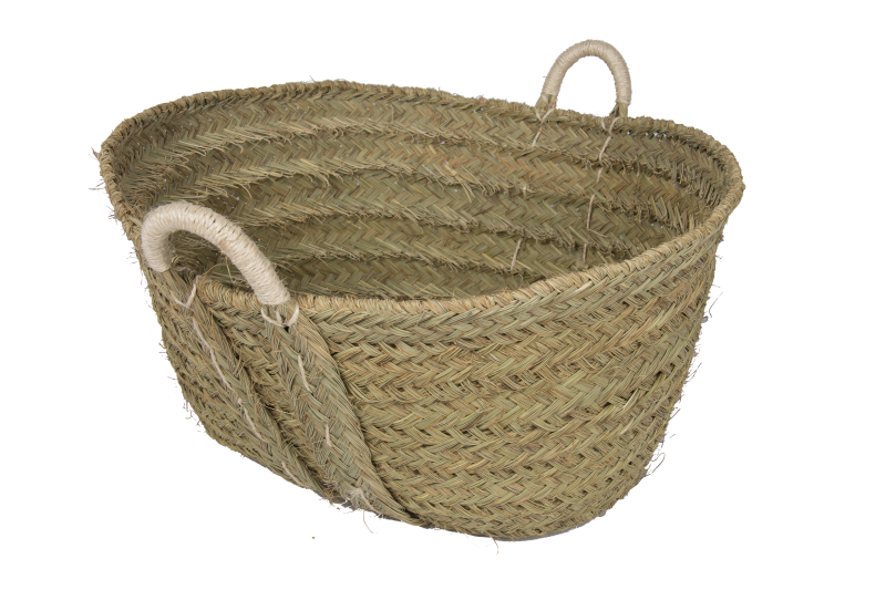 lenero-esparto-e1697800937594.png lenero-esparto-e1697800937594.png