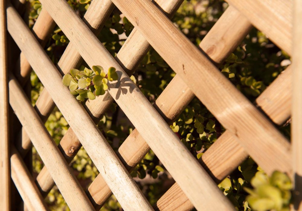 paneles-celosia-ambiente-e1697812020568.jpg paneles-celosia-ambiente-e1697812020568.jpg