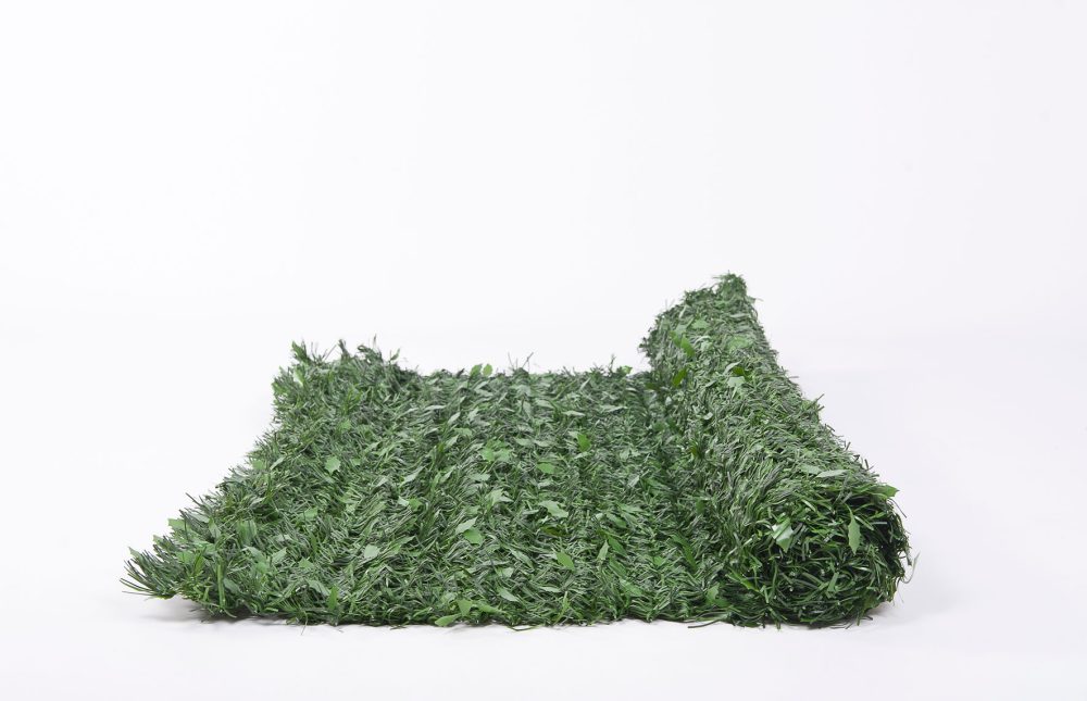 seto-hoja-hiedra-e1697813585644.jpg seto-hoja-hiedra-e1697813585644.jpg