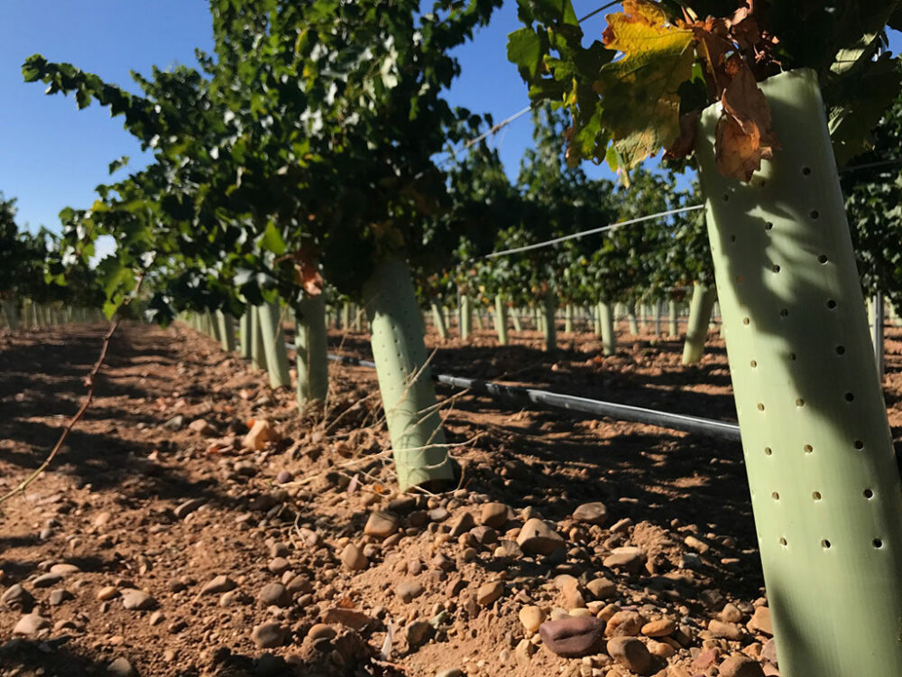 tubo-protector-web.jpg tubo-protector-web.jpg