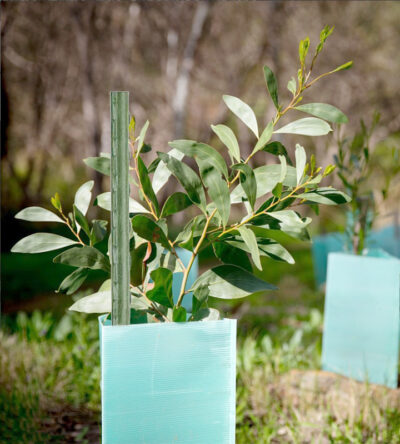 Tutores De Acero Plastificado