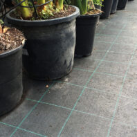 43051_43059_43052_43053_43054_43055_43055_43056_43057_43060_43058_MALLA-ANTIHIERBA-100-GR_NEGRO-(1)