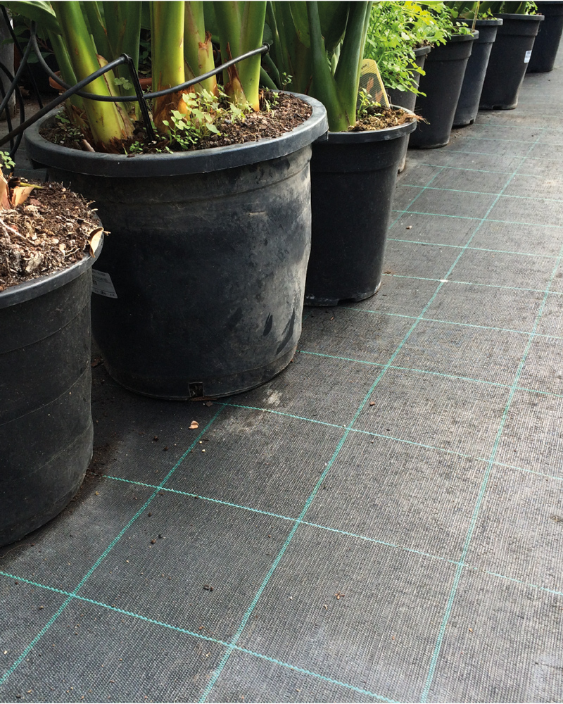 43051_43059_43052_43053_43054_43055_43055_43056_43057_43060_43058_MALLA-ANTIHIERBA-100-GR_NEGRO-(1)