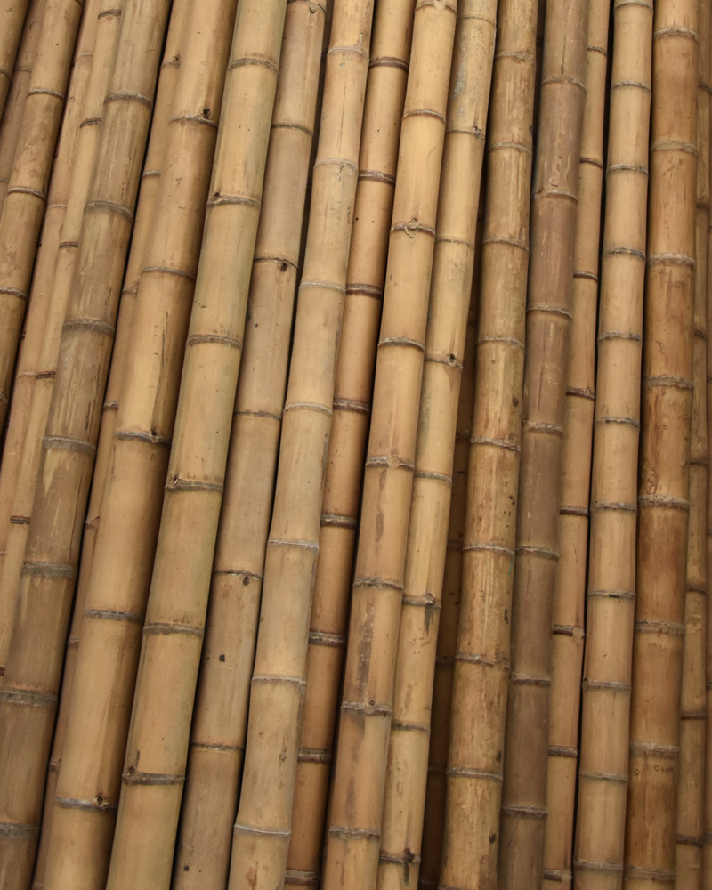 29061_29062_29063_29064_29065_29066_29067_29068_29069_BAMBÚ-DECORATIVO--(2) 29061_29062_29063_29064_29065_29066_29067_29068_29069_BAMBÚ-DECORATIVO--(2)