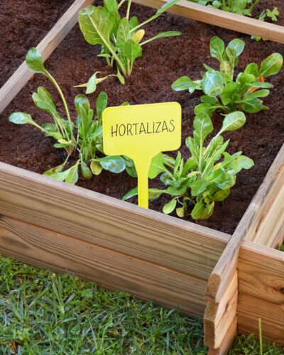 Blister Etiqueta Plantas