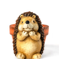 40450-MACETERO-ERIZO-1