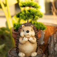 40450-MACETERO-ERIZO-2