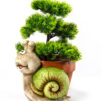 40450-MACETERO-ERIZO-3