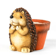 40450-MACETERO-ERIZO-4