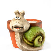 40451-MACETERO-CARACOL-1