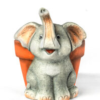 40452-MACETERO-TORTUGA-1