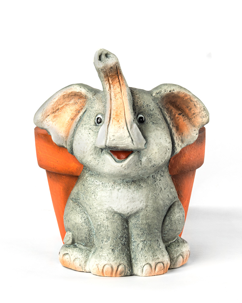 40452-MACETERO-TORTUGA-1 40452-MACETERO-TORTUGA-1