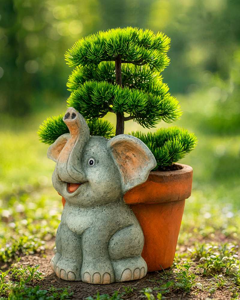 40452-MACETERO-TORTUGA-2 40452-MACETERO-TORTUGA-2