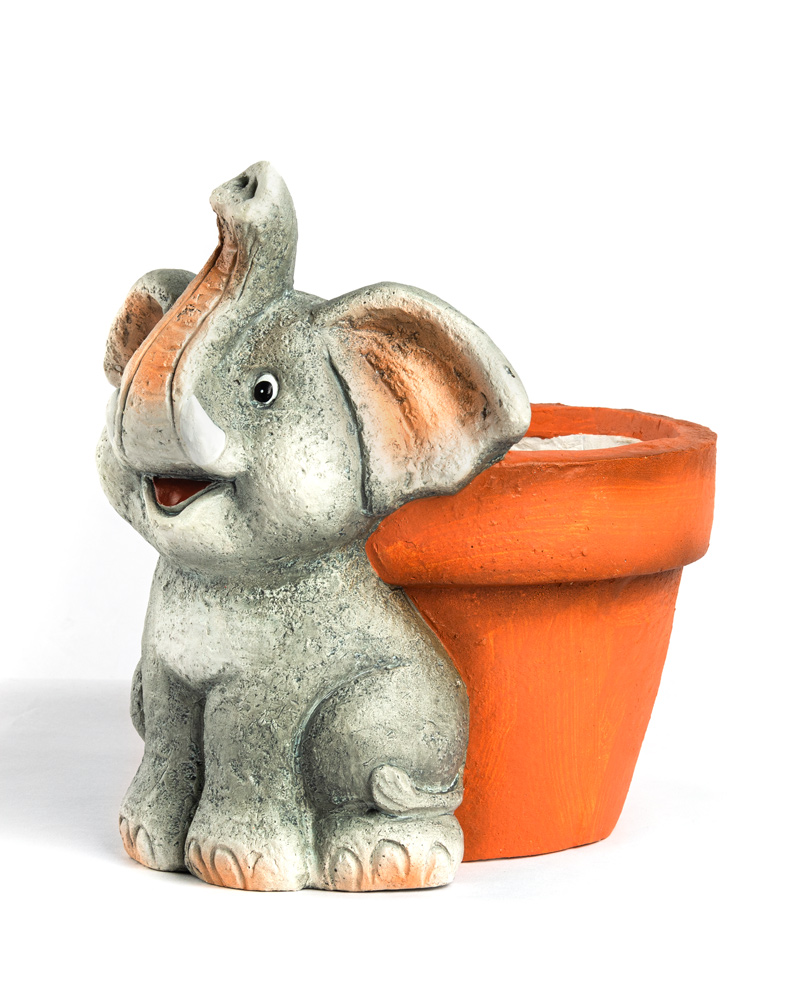 40452-MACETERO-TORTUGA-4 40452-MACETERO-TORTUGA-4