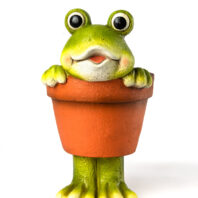 40454-MACETERO-RANA-1