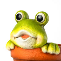 40454-MACETERO-RANA-3