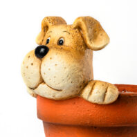 40456-MACETERO-PERRO-3