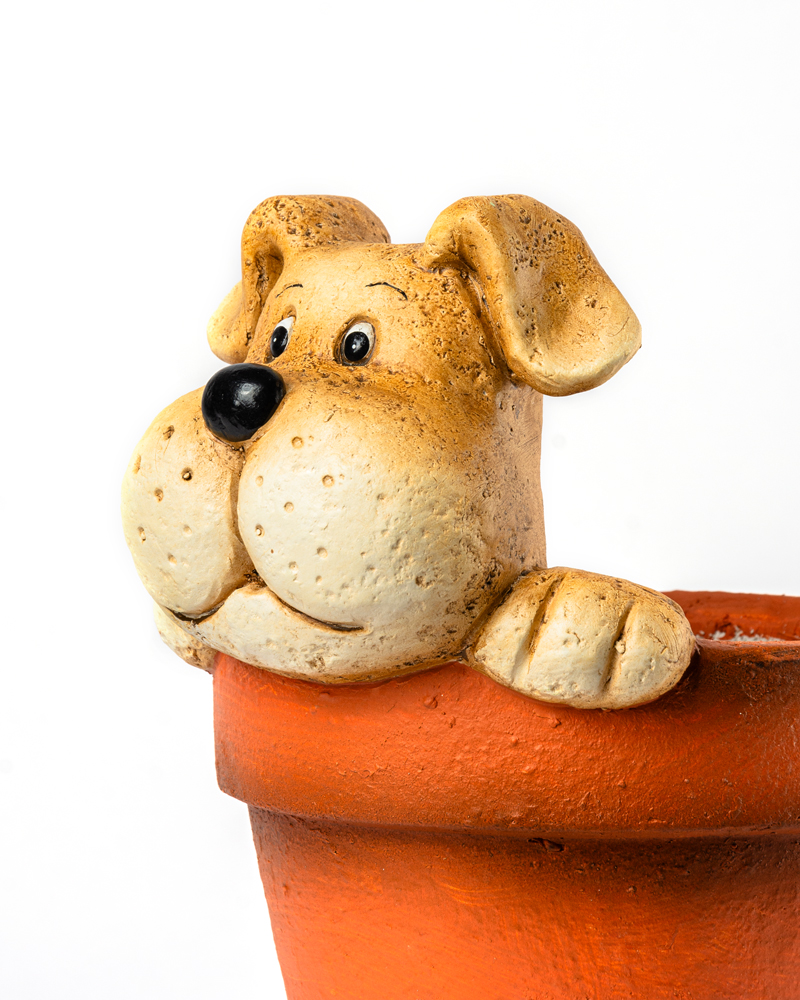 40456-MACETERO-PERRO-3 40456-MACETERO-PERRO-3