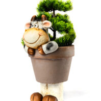 40457-MACETERO-VACA-4