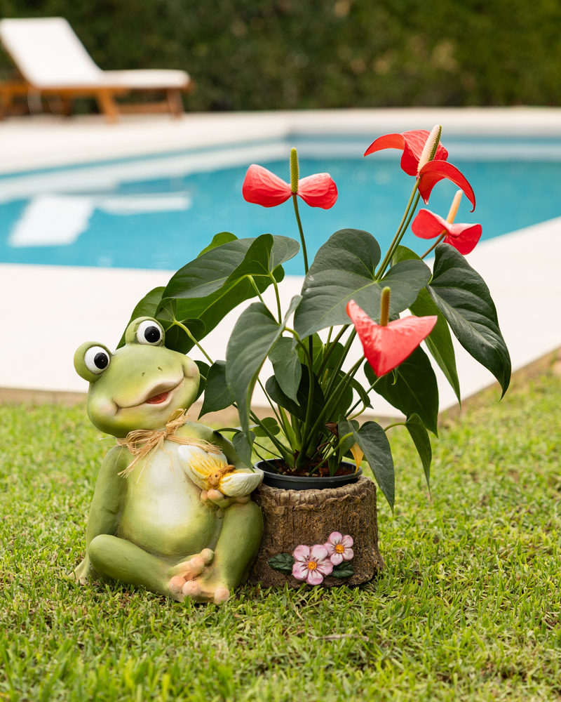 40458-MACETERO-RANA-TRONCO-2- 40458-MACETERO-RANA-TRONCO-2-