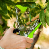 50310-MÁQUINA-DE-ATADO-MANUAL-2