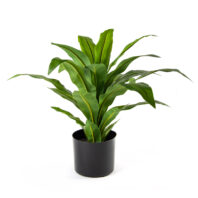 80500-DRACENA-PLANTAS-ARTIFICIALES-1