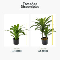 80501-DRACENA-PLANTAS-ARTIFICIALES-MEDIDAS-3