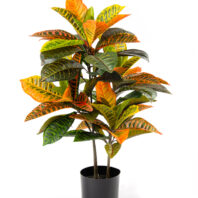80502-CROTON-PLANTAS-ARTIFICIALES