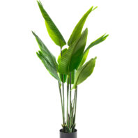 80508-80509-AVE-DEL-PARAISO-1