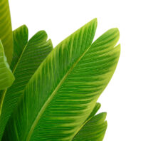 80508-80509-AVE-DEL-PARAISO-2