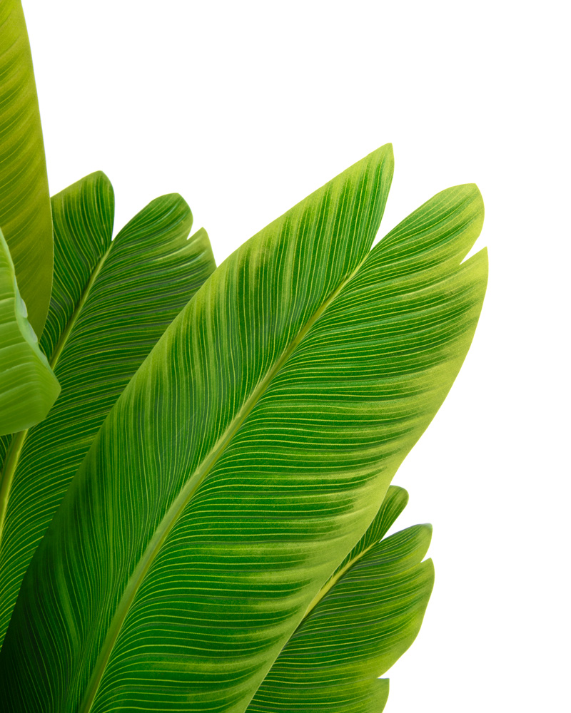 80508-80509-AVE-DEL-PARAISO-2 80508-80509-AVE-DEL-PARAISO-2