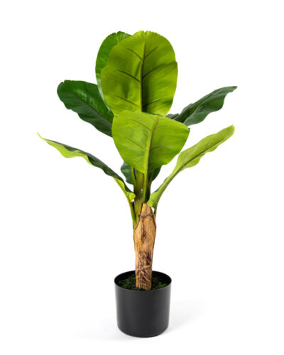 Platanero | Planta Artificial