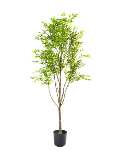 Eucalipto | Planta Artificial