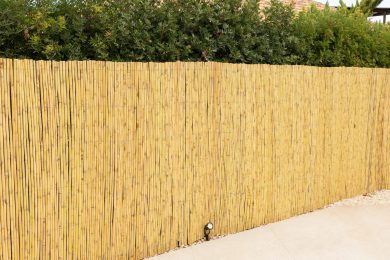 Sesion-exterior-2025-23265-cañizo-entero-faura